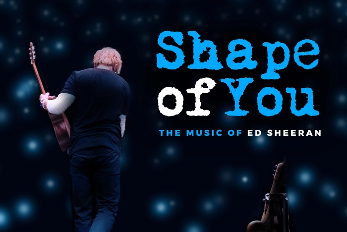 lời bài hát shape of you