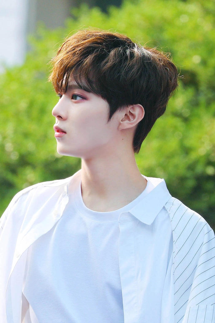 Kim Wooseok