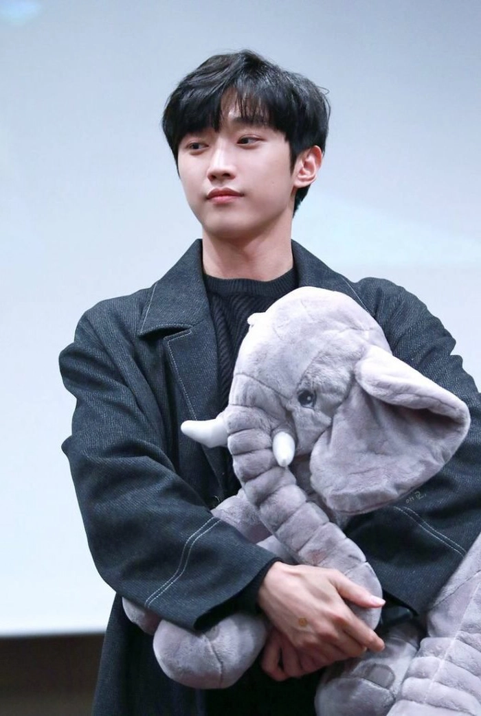 Sandeul