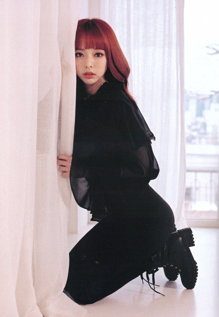 ViVi