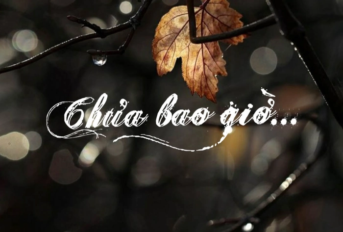 lời bài hát chưa bao giờ