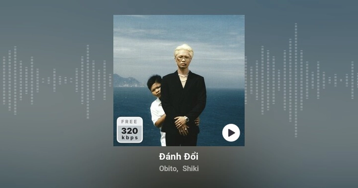 lời bài hát đánh đổi