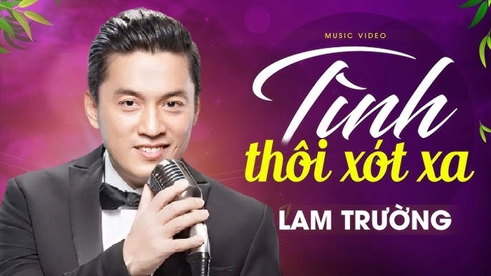 lời bài hát tình thôi xót xa