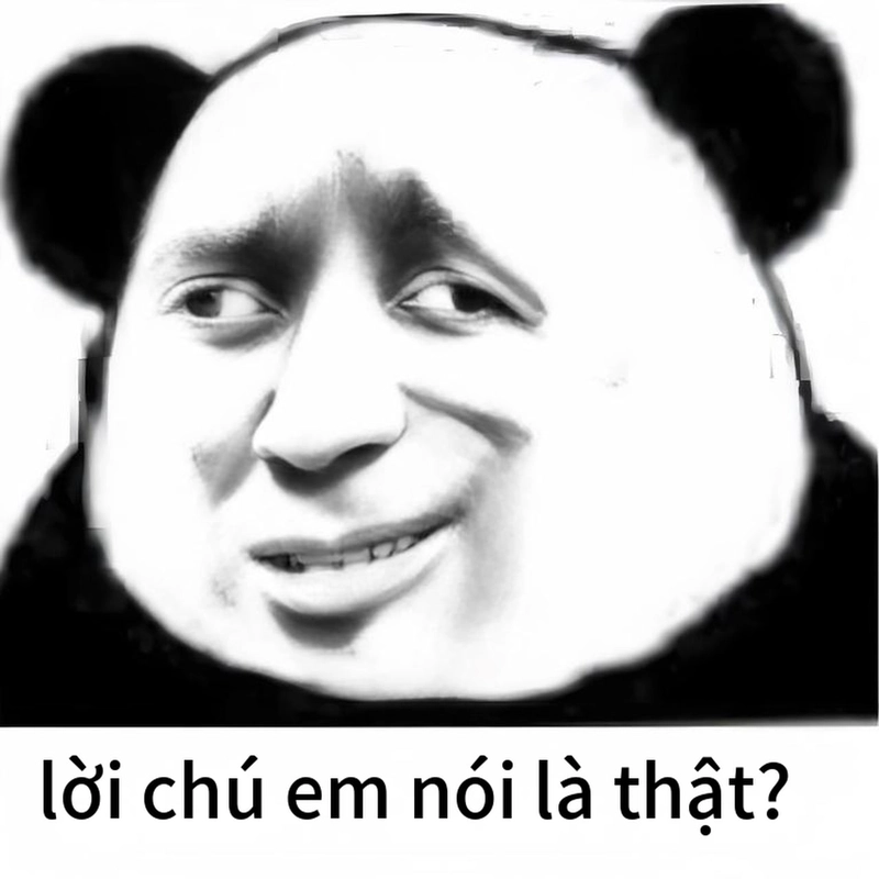 Ảnh chế gấu trúc bất ngờ bá đạo