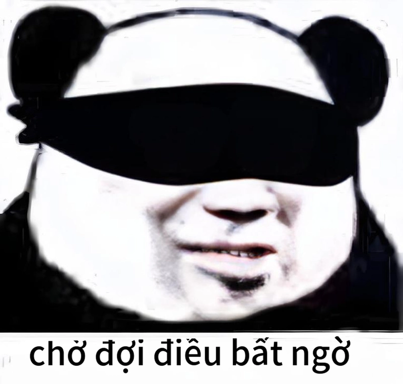 Ảnh chế gấu trúc bất ngờ vui nhộn