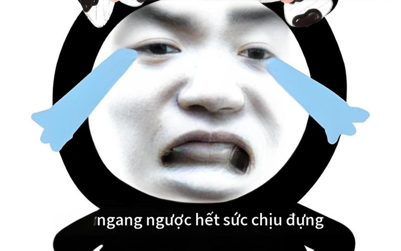 Ảnh chế gấu trúc ngang ngược hài hước