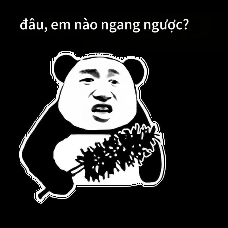 Ảnh chế hài hước meme gấu trúc ngang ngược