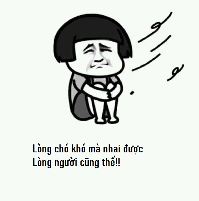 Ảnh chế lòng chó khó nhai vui nhộn