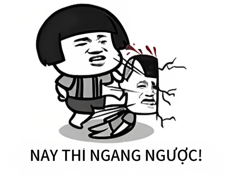 Ảnh chế meme gấu trúc ngang ngược