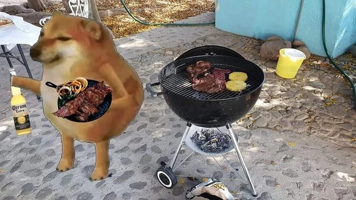Ảnh chó mèo meme lầy lội
