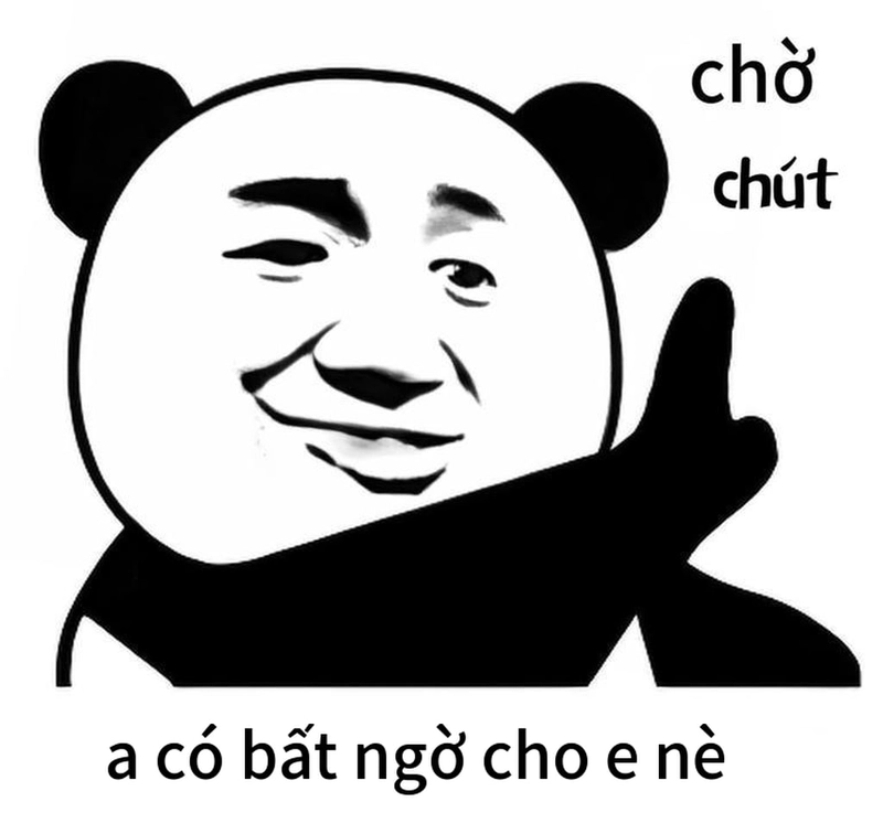 Ảnh gấu trúc bất ngờ chế bựa