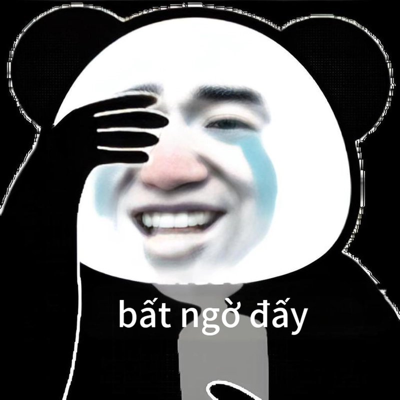 Ảnh gấu trúc bất ngờ meme vui nhộn