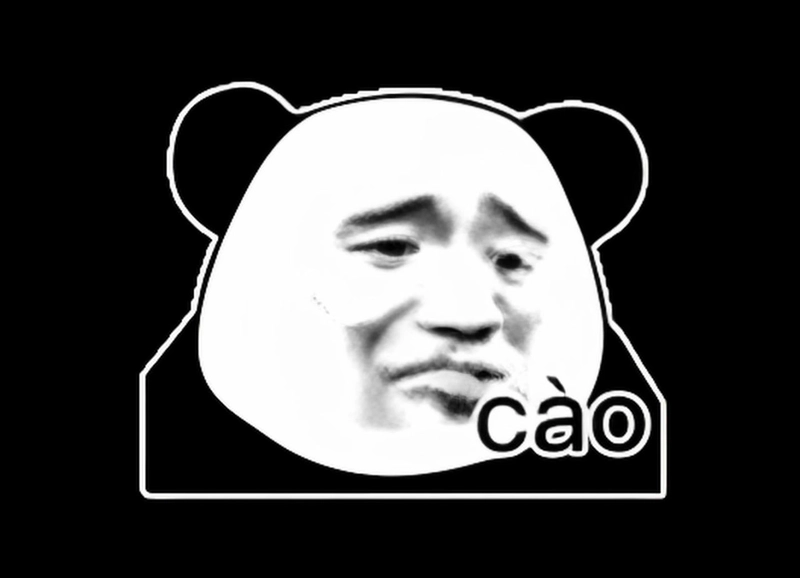 Ảnh gấu trúc bất ngờ meme vui