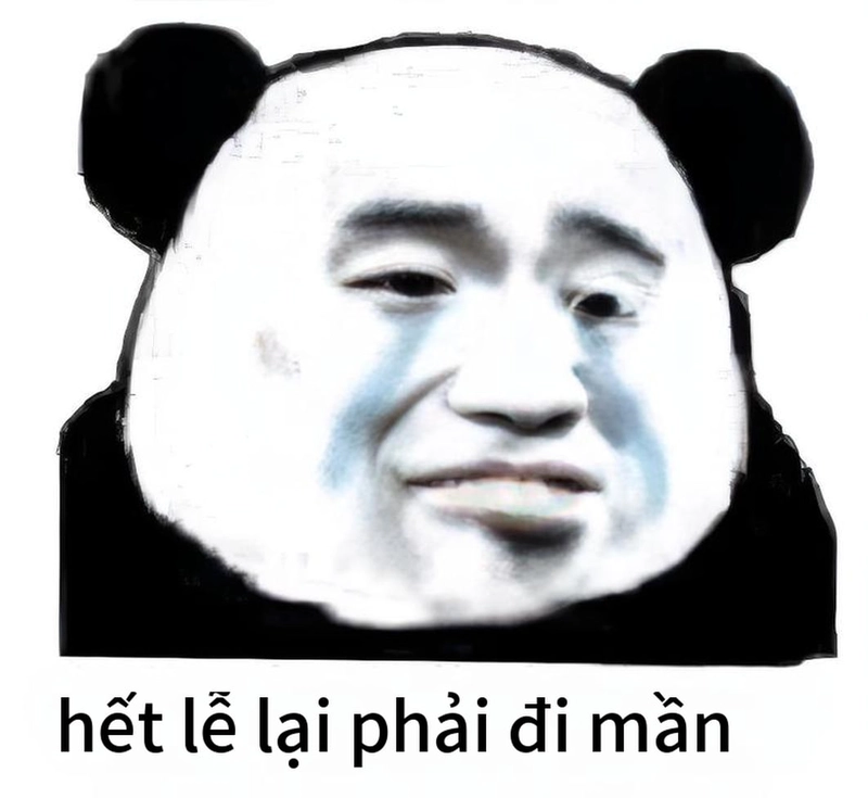 Ảnh gấu trúc meme mắt thâm độc đáo