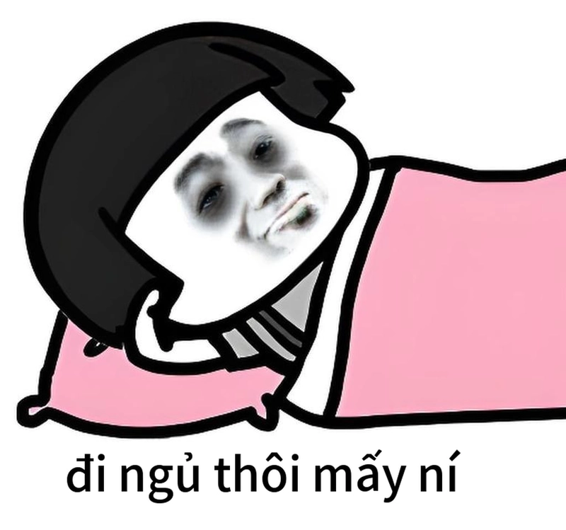 Ảnh gấu trúc meme mắt thâm hài hước