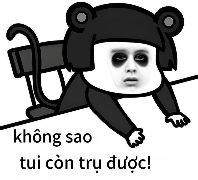 Ảnh gấu trúc meme mắt thâm troll bạn bè