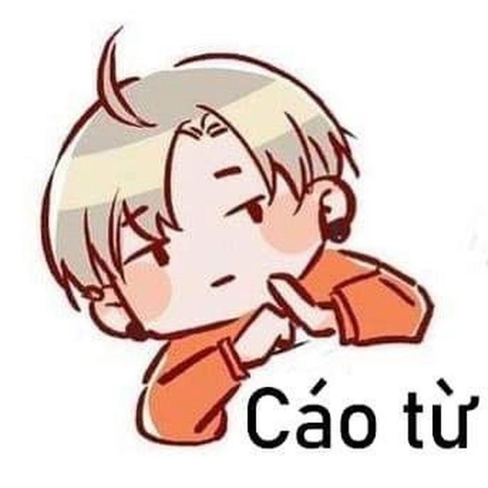Ảnh meme cáo từ cực hài