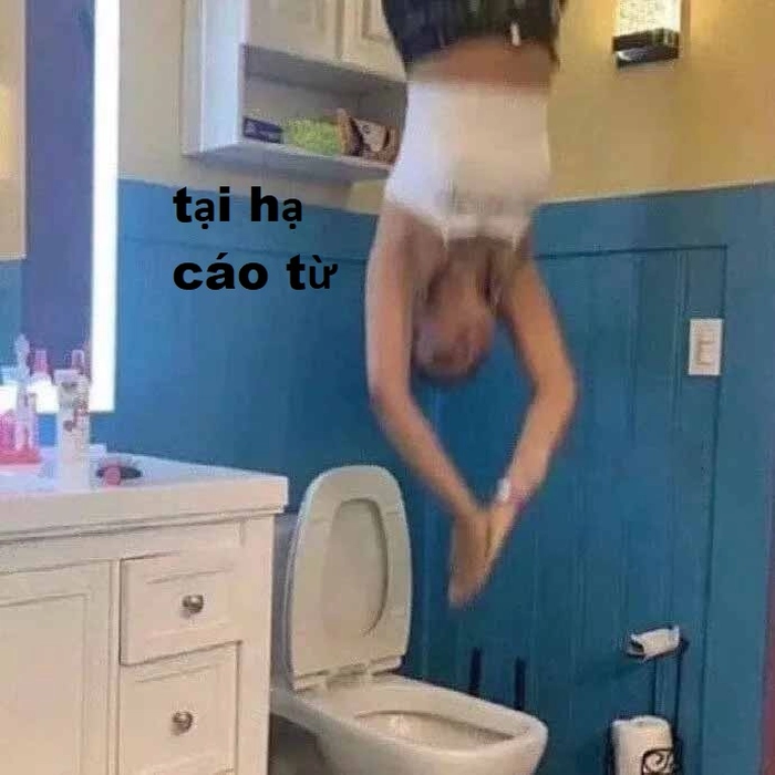 Ảnh meme cáo từ độc đáo