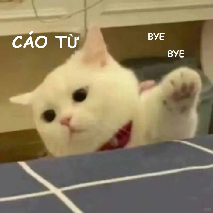 Ảnh meme cáo từ vui nhộn