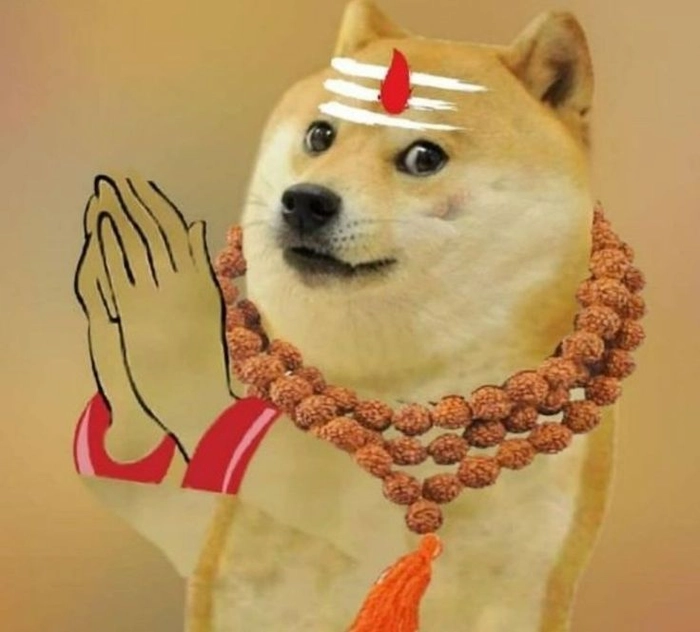 Ảnh meme chó Shiba đáng yêu
