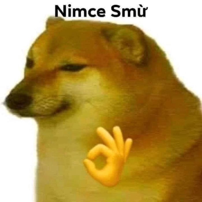 Ảnh meme chó Shiba vui nhộn