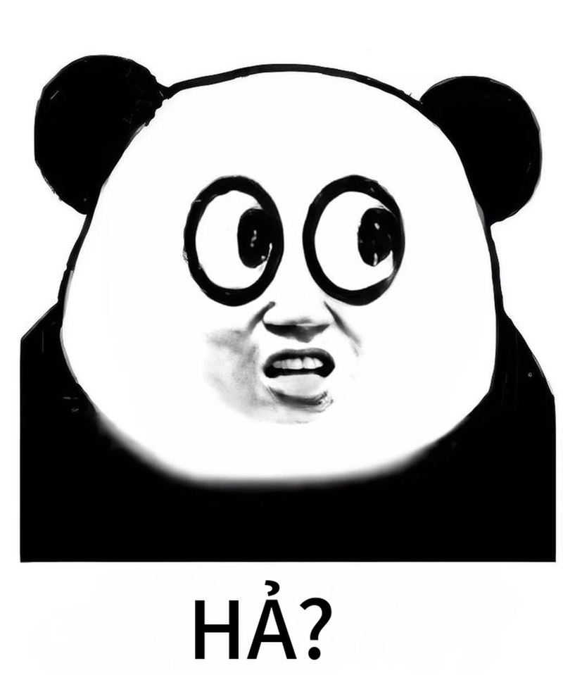 Ảnh meme gấu trúc bất ngờ độc lạ