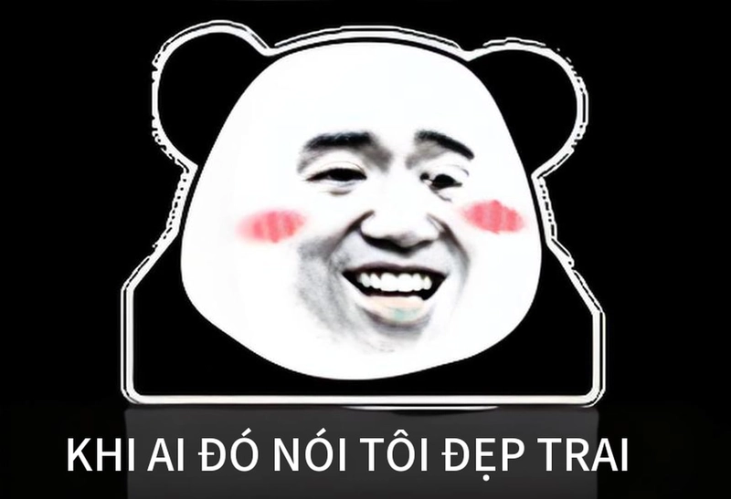 Ảnh meme gấu trúc cười chất lừ