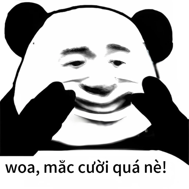 Ảnh meme gấu trúc cười hài chế