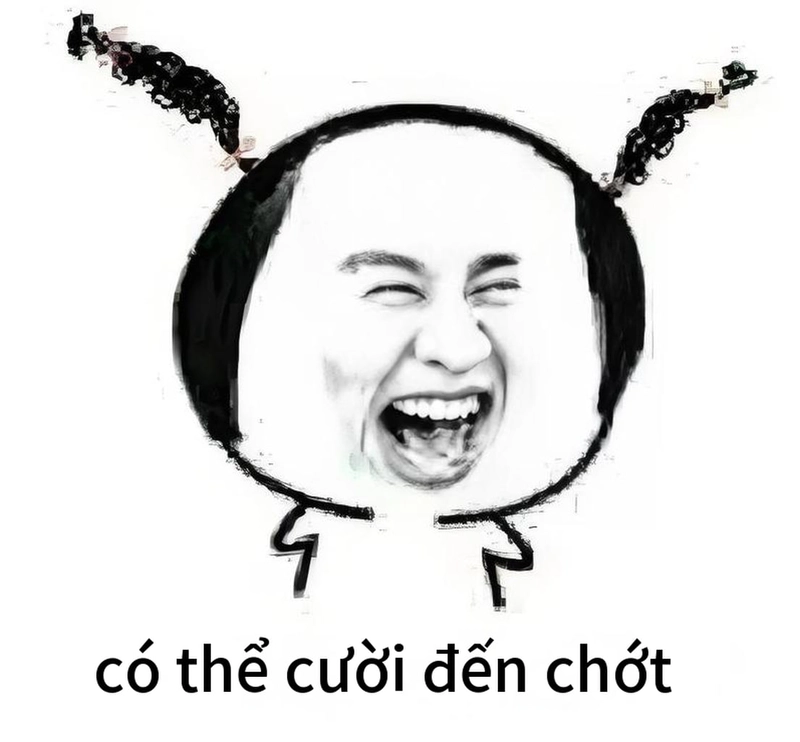 Ảnh meme gấu trúc cười lầy lội