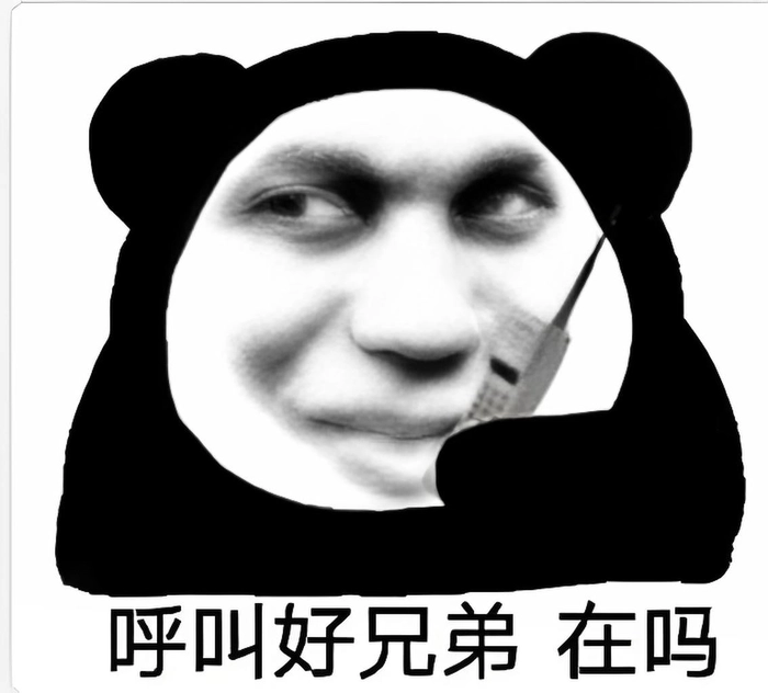 Ảnh meme gấu trúc hài troll