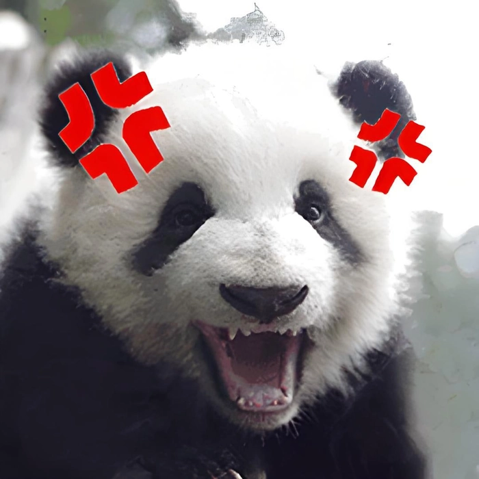 Ảnh meme gấu trúc tức giận châm biếm
