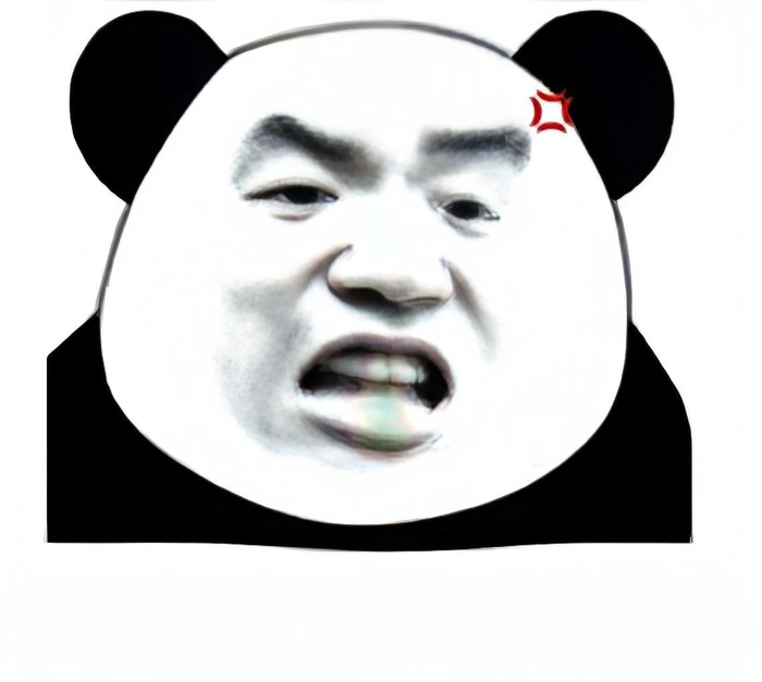 Ảnh meme gấu trúc tức giận cute