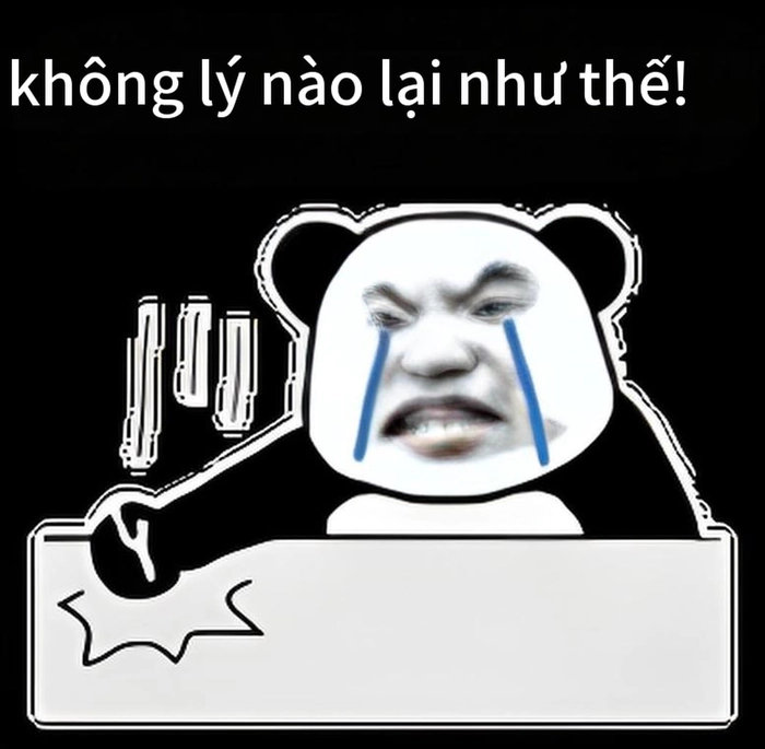 Ảnh meme gấu trúc tức giận hài hước