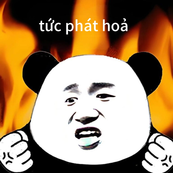 Ảnh meme gấu trúc tức giận meme chế