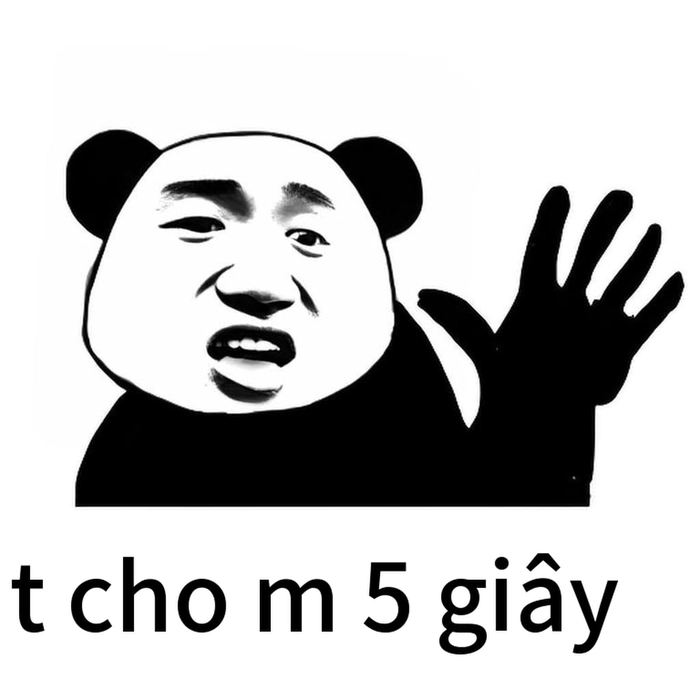 Ảnh meme gấu trúc tức giận ngầu lòi