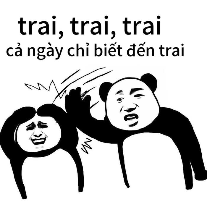 Ảnh meme gấu trúc tức giận vui nhộn