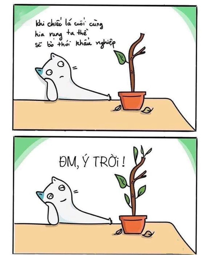Ảnh meme ý trời bá đạo
