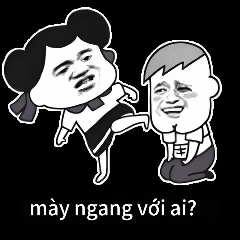 Bộ ảnh chế meme gấu trúc ngang ngược hay