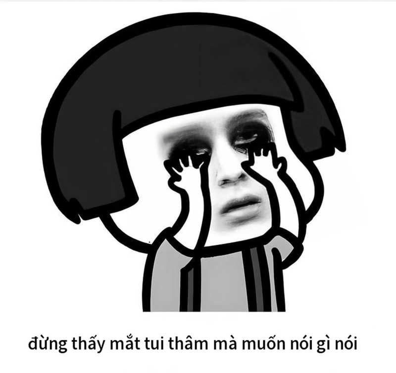 Bộ ảnh gấu trúc meme mắt thâm bá đạo