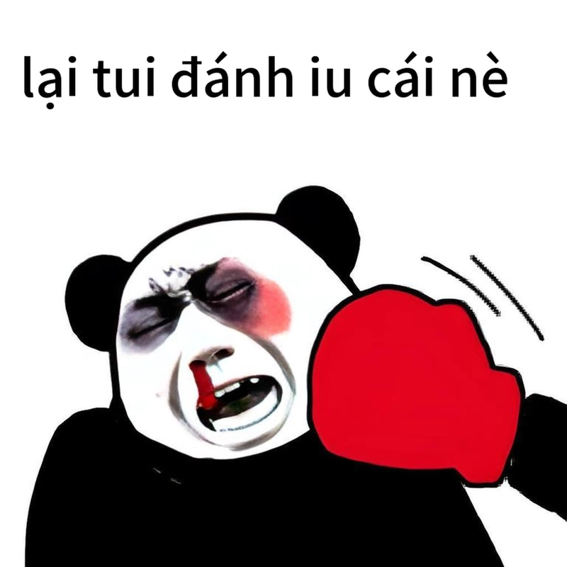 Bộ meme gấu trúc ngang ngược hot trend