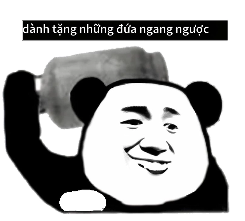 Bộ sưu tập meme gấu trúc ngang ngược