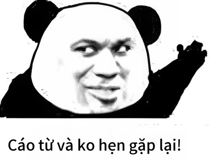 Cáo từ meme Trung Quốc hot trend