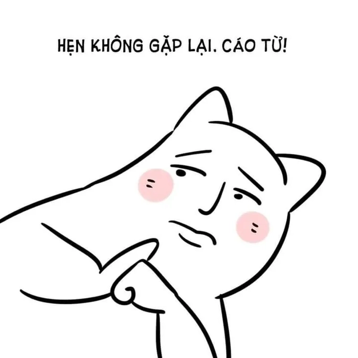 Cáo từ meme Trung Quốc trending