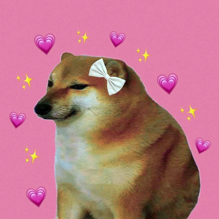 Chó Shiba meme lầy lội