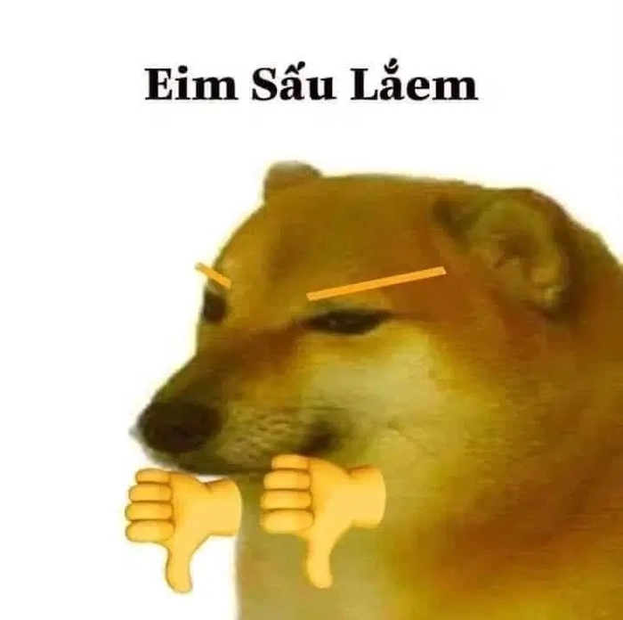 Chó Shiba meme vui nhộn