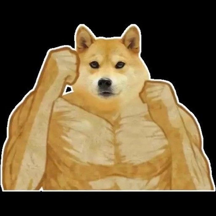Chó cơ bắp meme mặn mòi