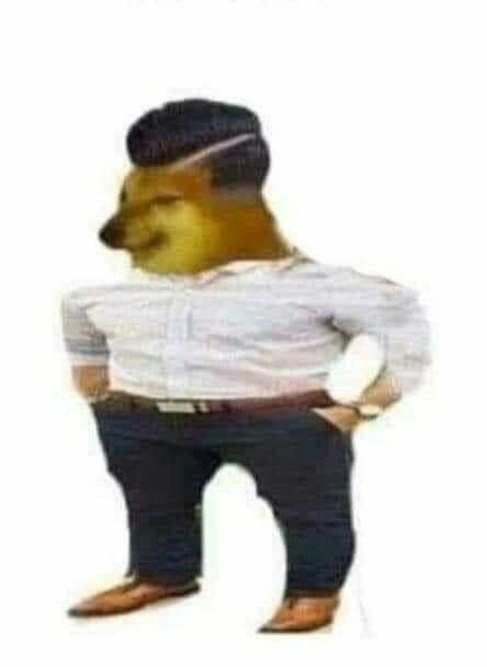 Chó cơ bắp meme vui nhộn
