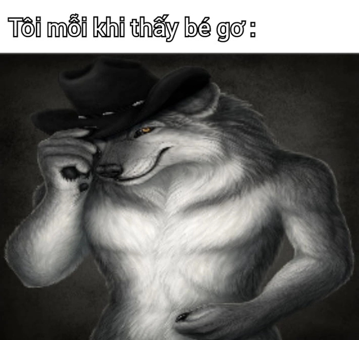 Chó sói cô độc meme hài
