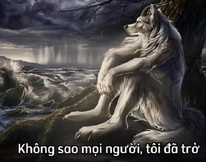 Chó sói cô độc meme ngầu