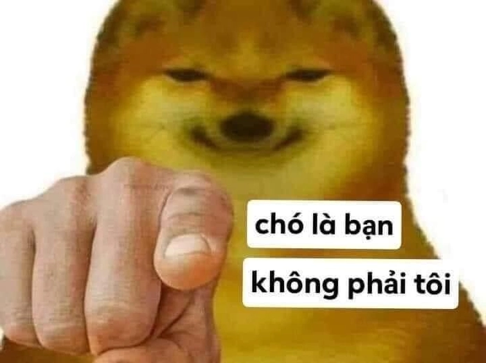 Chú chó Shiba meme bá đạo